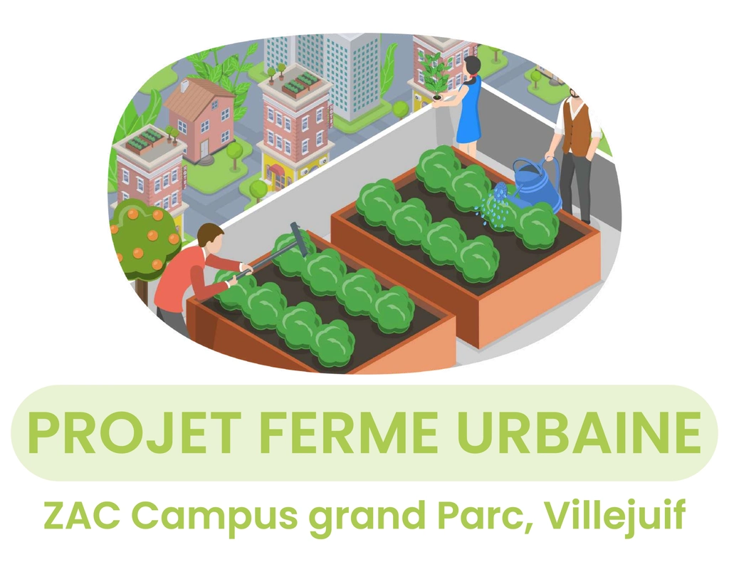 Image projet