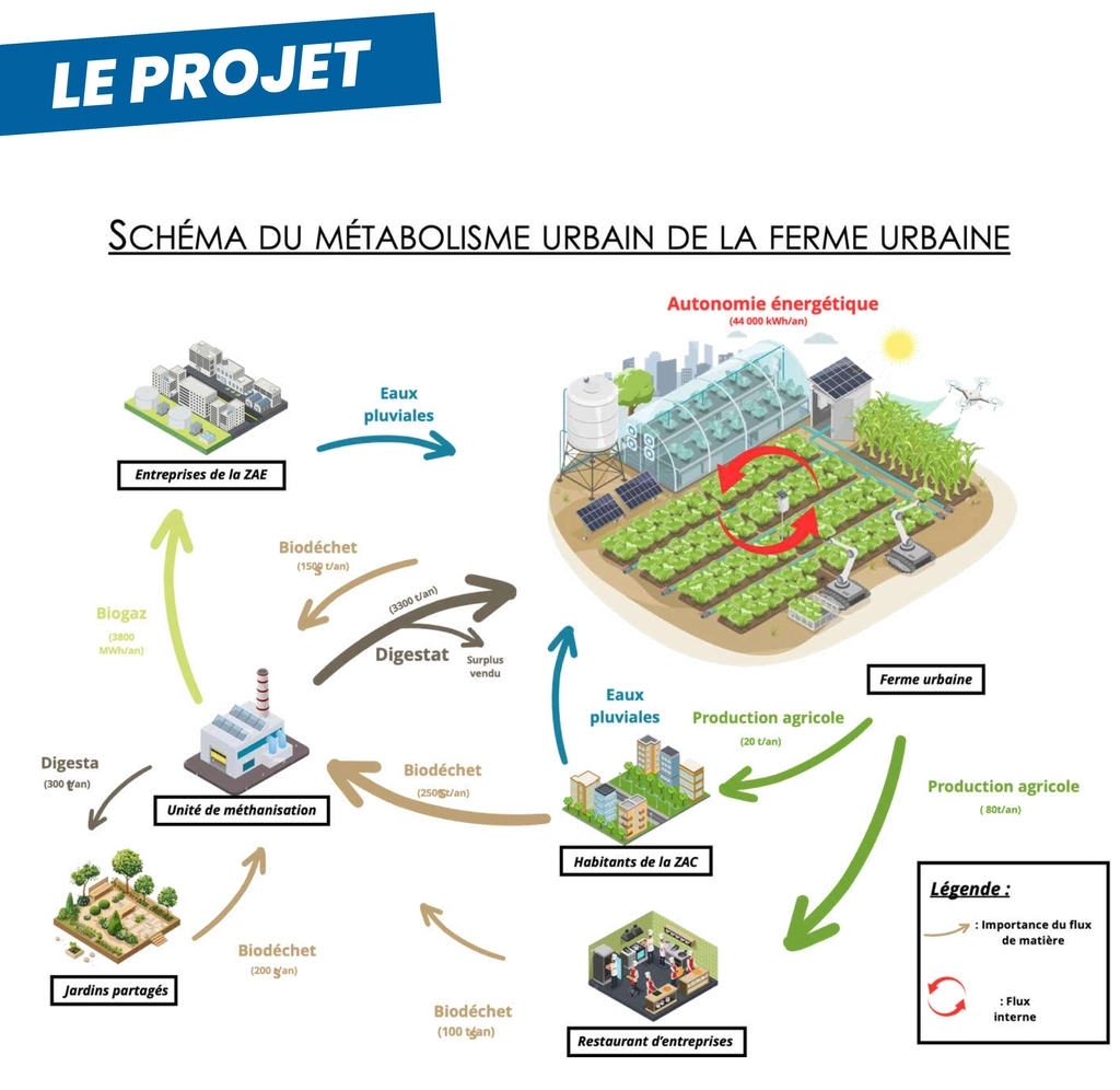 Image projet